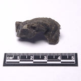 DARWIN GLASS IMPACTITE, Impact Melt, Australia YDG099