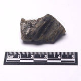 DARWIN GLASS IMPACTITE, Impact Melt, Australia YDG100