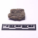 DARWIN GLASS INPACTITE, Impact Melt, Australia YDG106