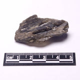 DARWIN GLASS INPACTITE, Impact Melt, Australia YDG110