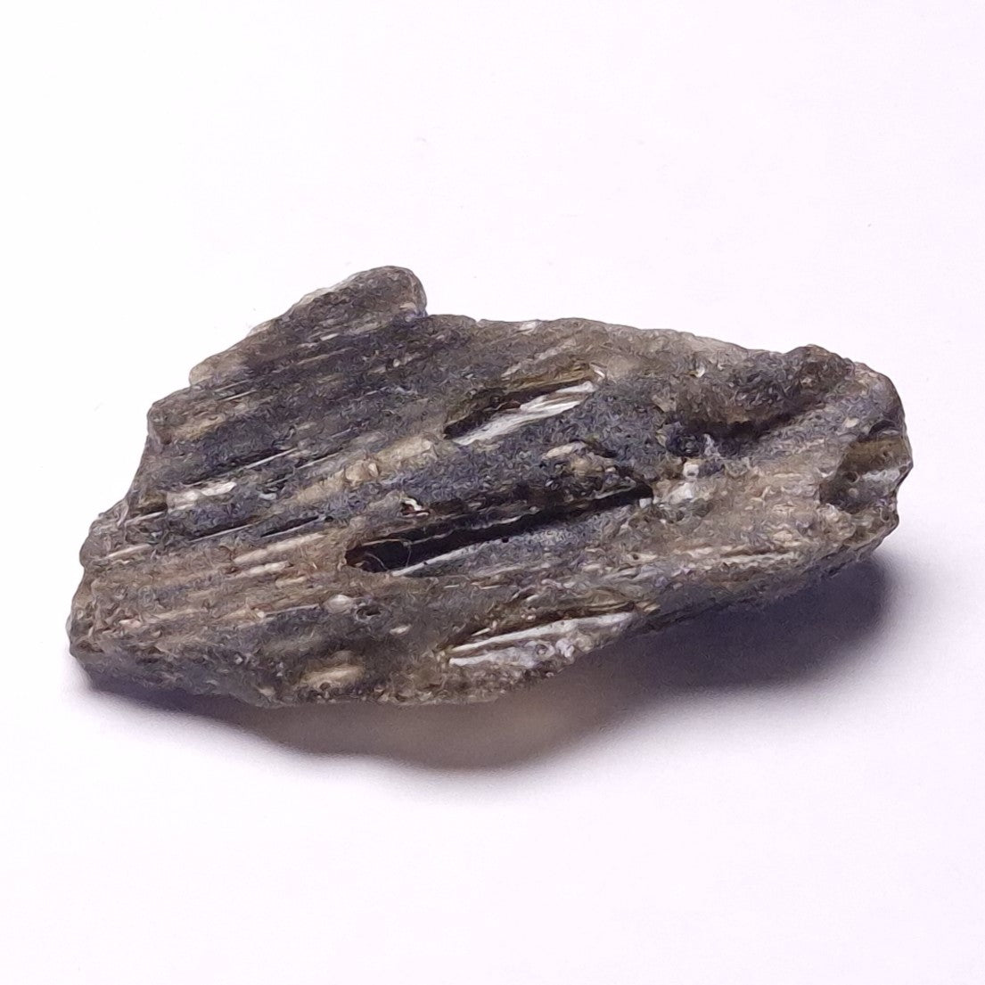 DARWIN GLASS INPACTITE, Impact Melt, Australia YDG110