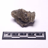 DARWIN GLASS INPACTITE, Impact Melt, Australia YDG114