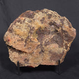 POLISHED AGATE, Agate Creek, Australia YAC014