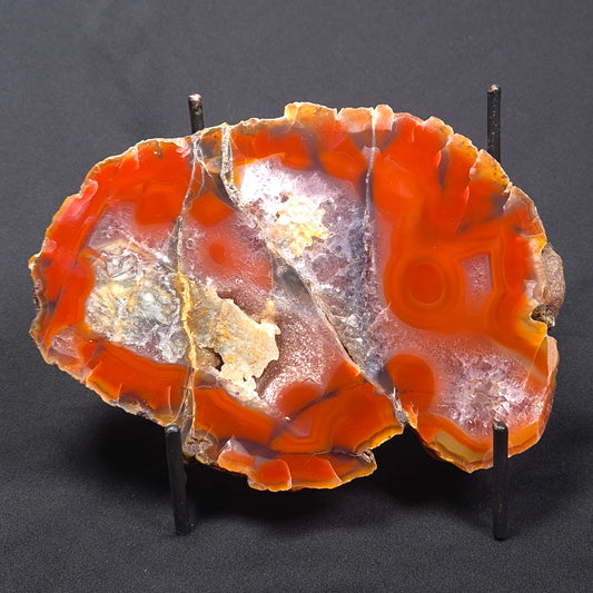 POLISHED AGATE, Agate Creek, Australia YAC015