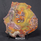 POLISHED AGATE, Agate Creek, Australia YAC018