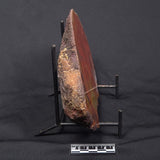 POLISHED AGATE, Agate Creek, Australia YAC019