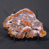 POLISHED AGATE, Agate Creek, Australia YAC020