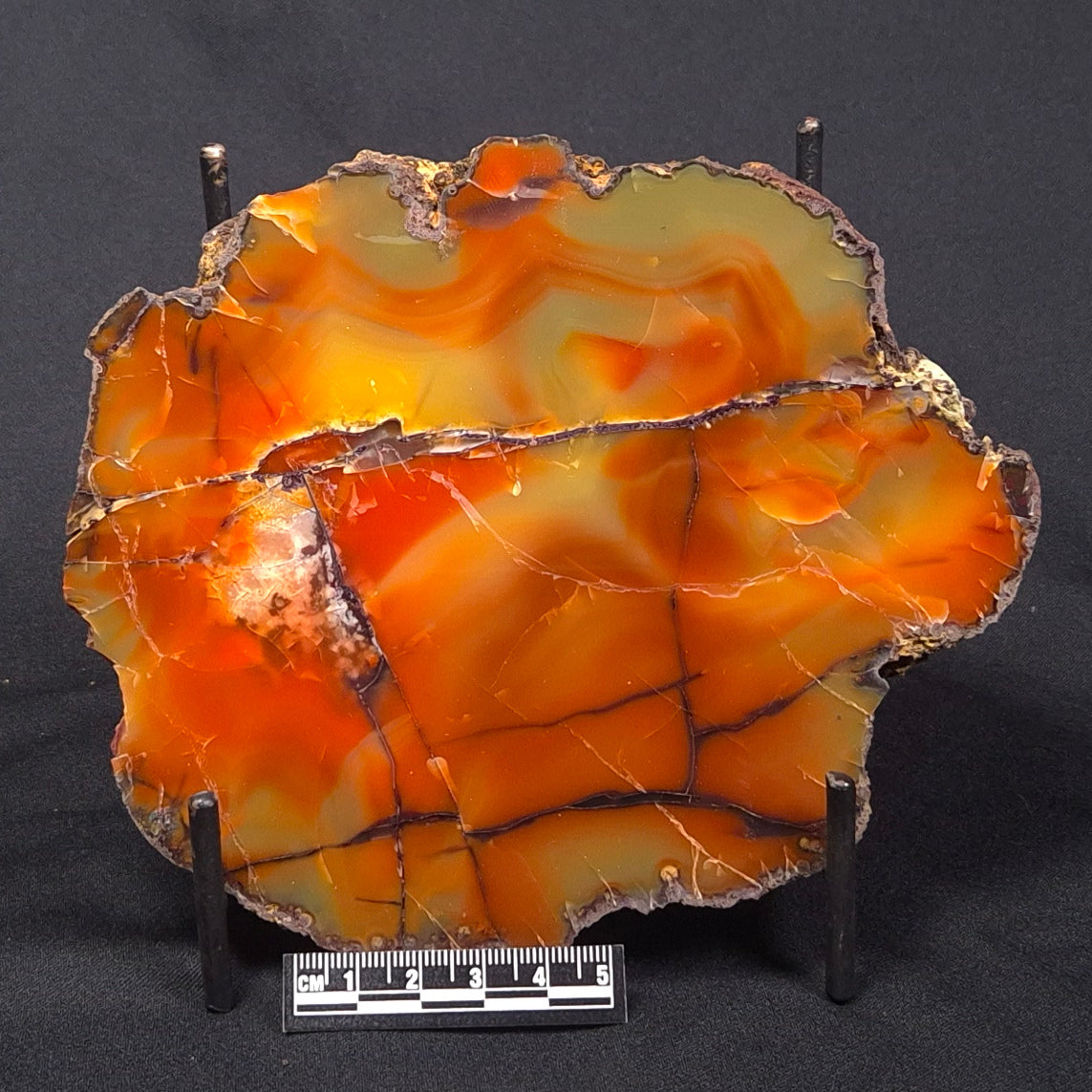 POLISHED AGATE, Agate Creek, Australia YAC021