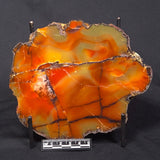 POLISHED AGATE, Agate Creek, Australia YAC021