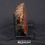 POLISHED AGATE, Agate Creek, Australia YAC021