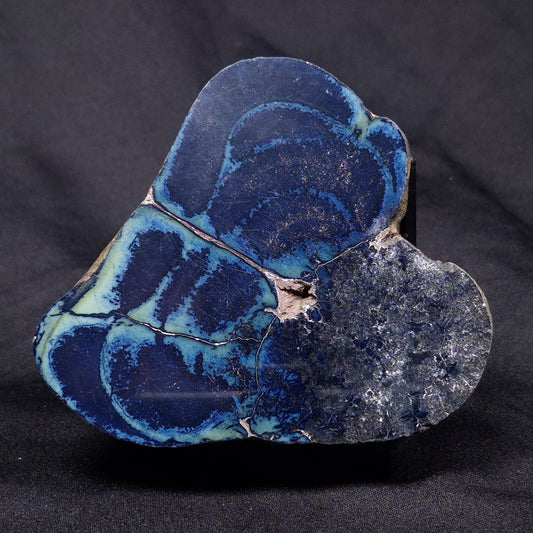 VIVIANITE NODULE, Australia XVI010