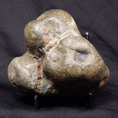 VIVIANITE NODULE, Australia XVI010