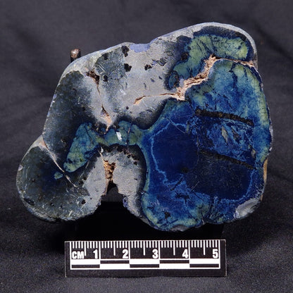 VIVIANITE NODULE, Australia XVI011