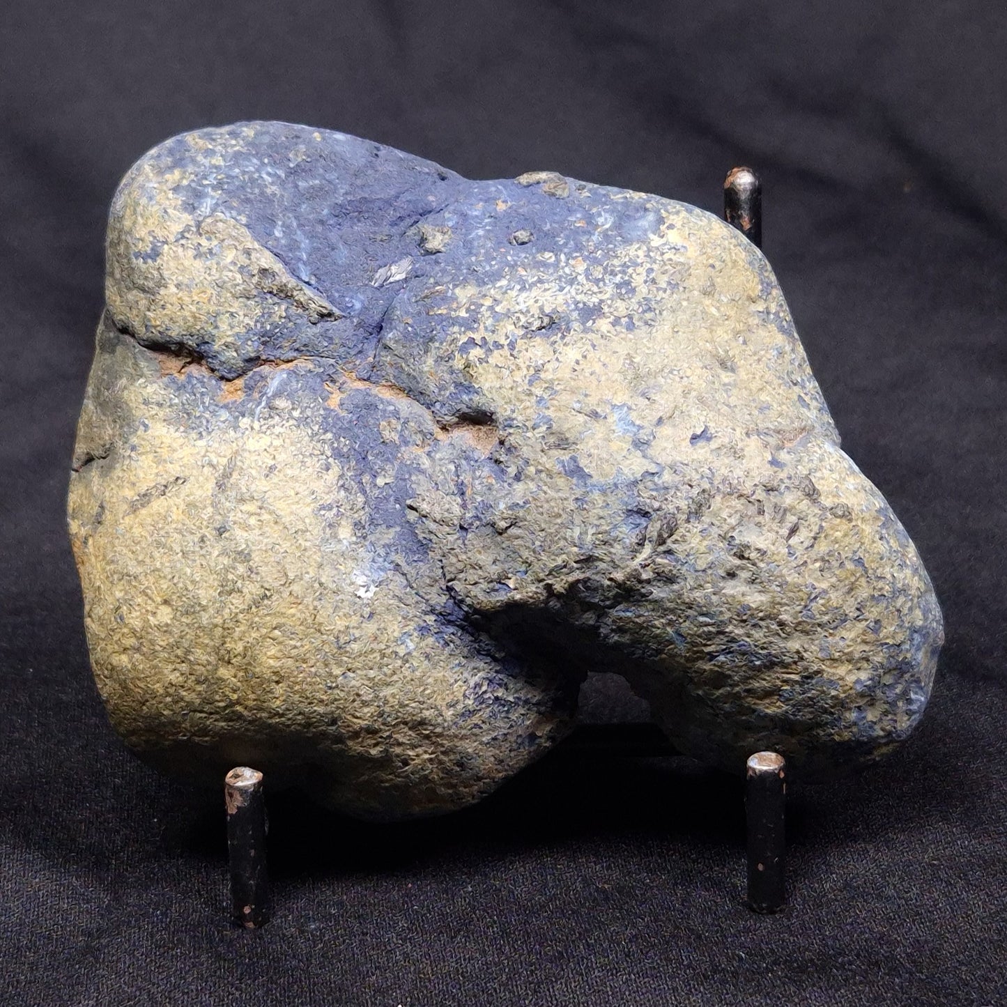 VIVIANITE NODULE, Australia XVI011