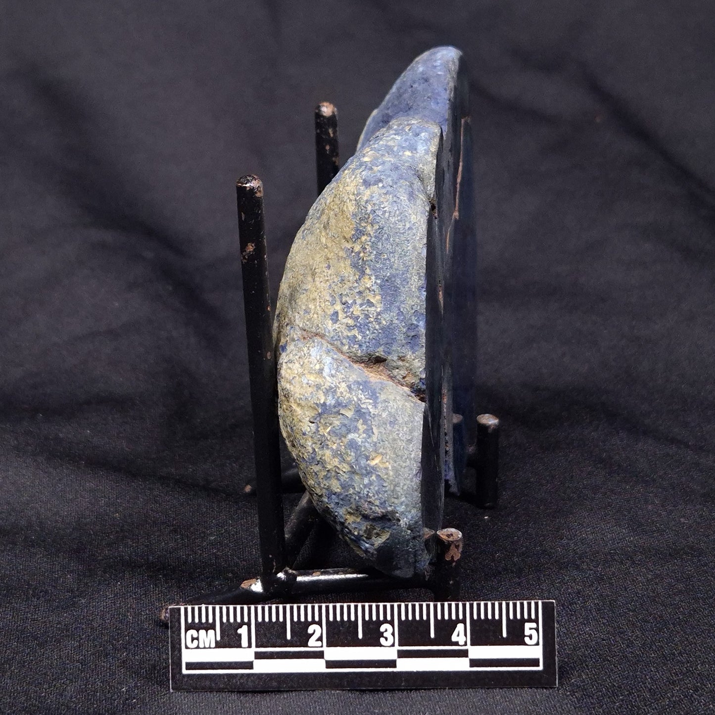 VIVIANITE NODULE, Australia XVI011