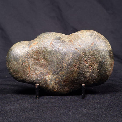 VIVIANITE NODULE, Australia XVI013