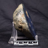 VIVIANITE NODULE, Australia XVI014
