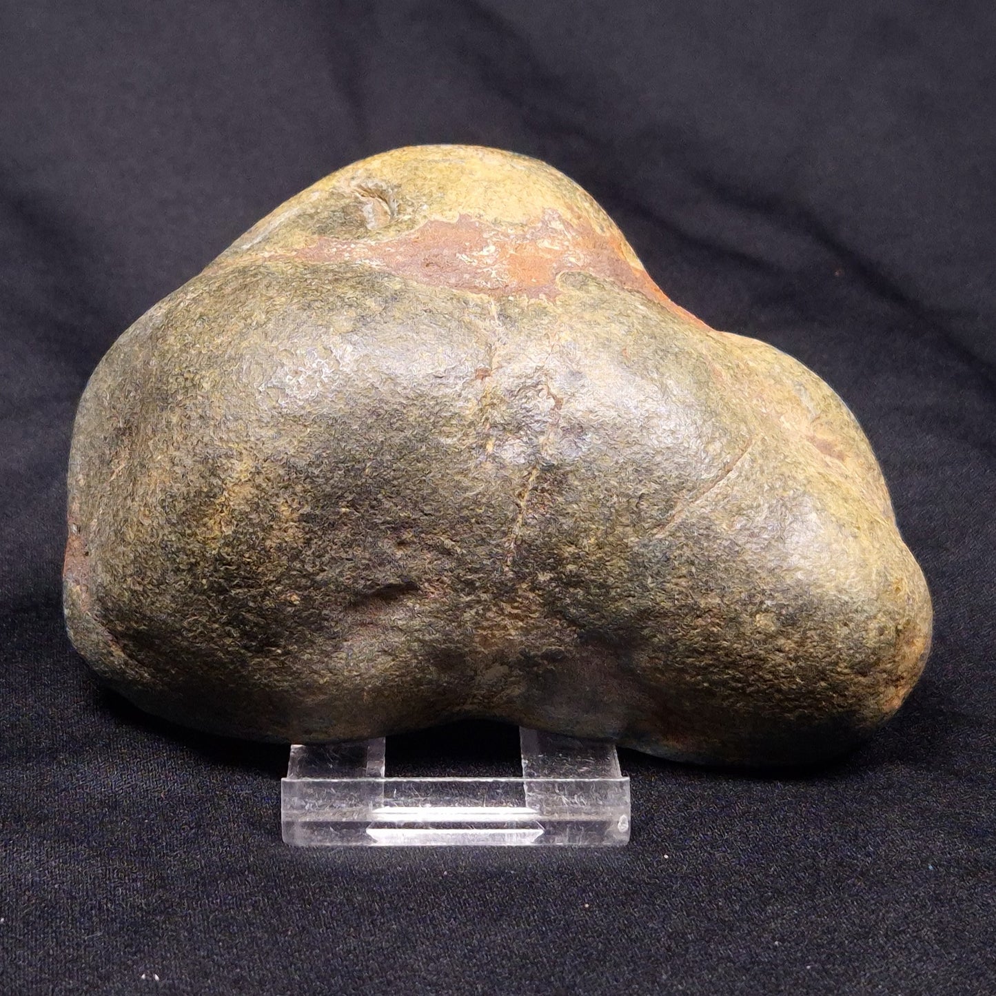 VIVIANITE NODULE, Australia XVI015