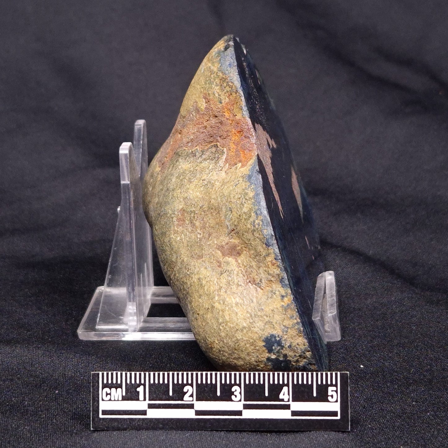VIVIANITE NODULE, Australia XVI015