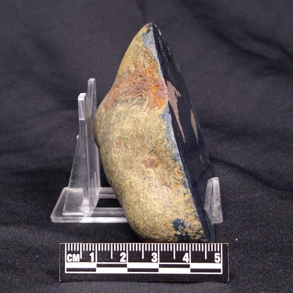 VIVIANITE NODULE, Australia XVI015