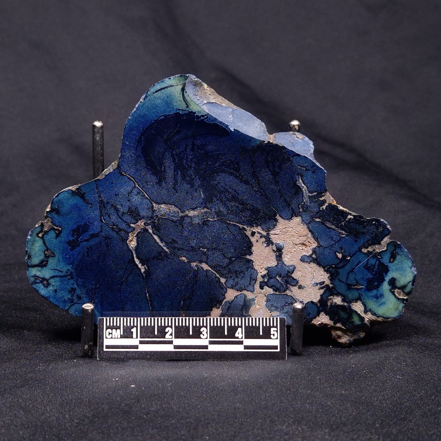 VIVIANITE NODULE, Australia XVI017