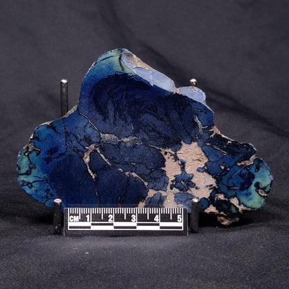 VIVIANITE NODULE, Australia XVI017