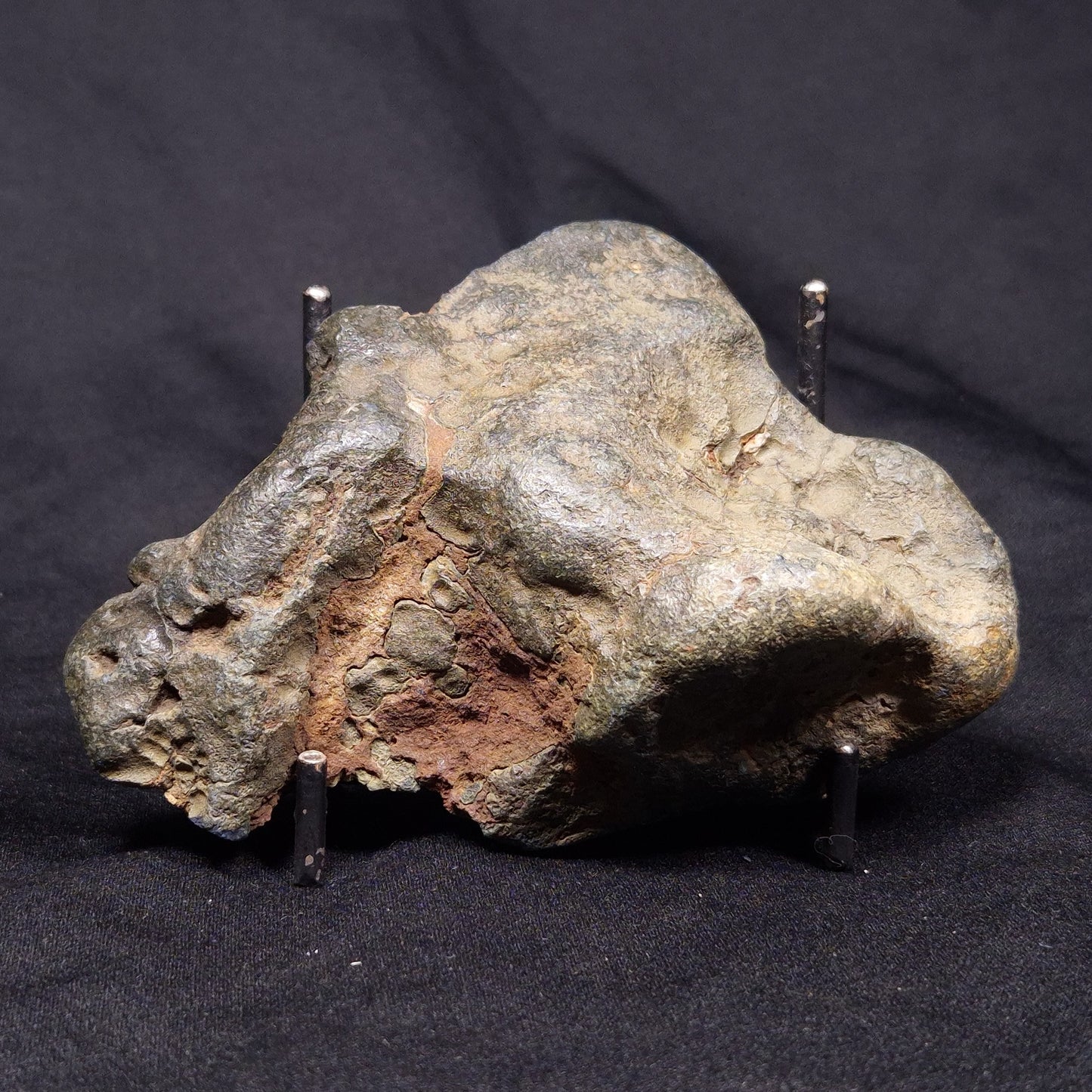 VIVIANITE NODULE, Australia XVI017