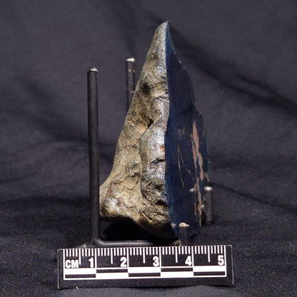 VIVIANITE NODULE, Australia XVI017