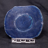 VIVIANITE NODULE, Australia XVI019