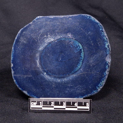 VIVIANITE NODULE, Australia XVI019