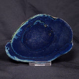 VIVIANITE NODULE, Australia XVI020