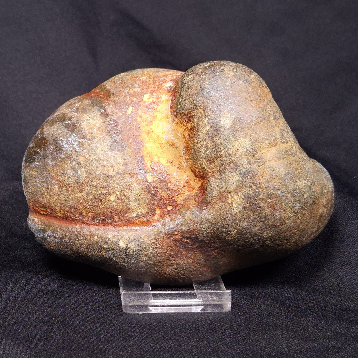 VIVIANITE NODULE, Australia XVI020