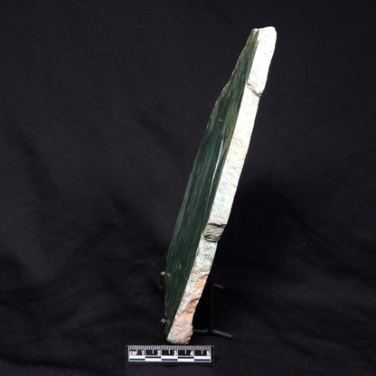 FUCHSITE, Australia YSC069