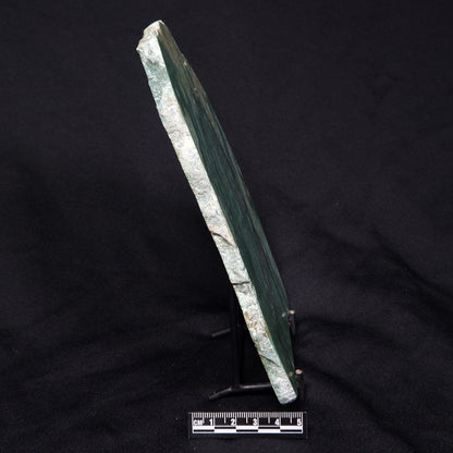 FUCHSITE, Australia YSC070