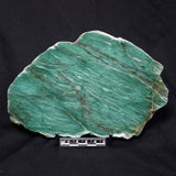 FUCHSITE, Australia YSC071