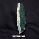FUCHSITE, Australia YSC071