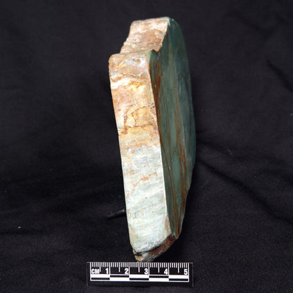 FUCHSITE, Australia YSC072