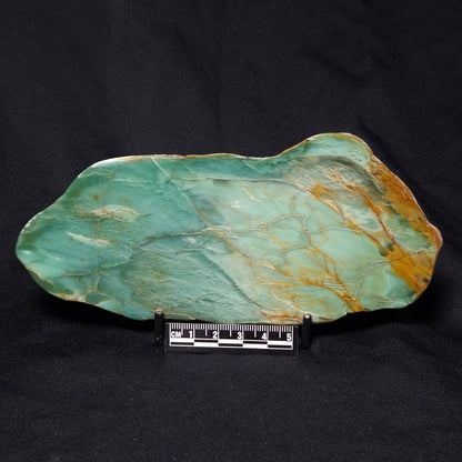 FUCHSITE, Australia YSC074