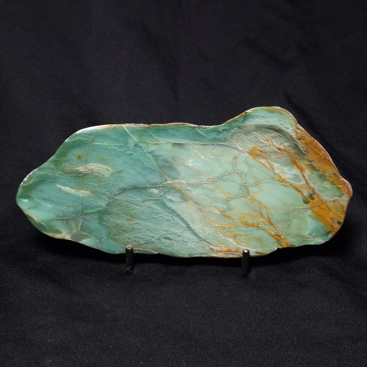 FUCHSITE, Australia YSC074