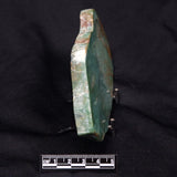 FUCHSITE, Australia YSC074