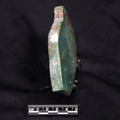 FUCHSITE, Australia YSC074