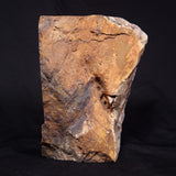 OUTBACK JASPER, Australia YSC077