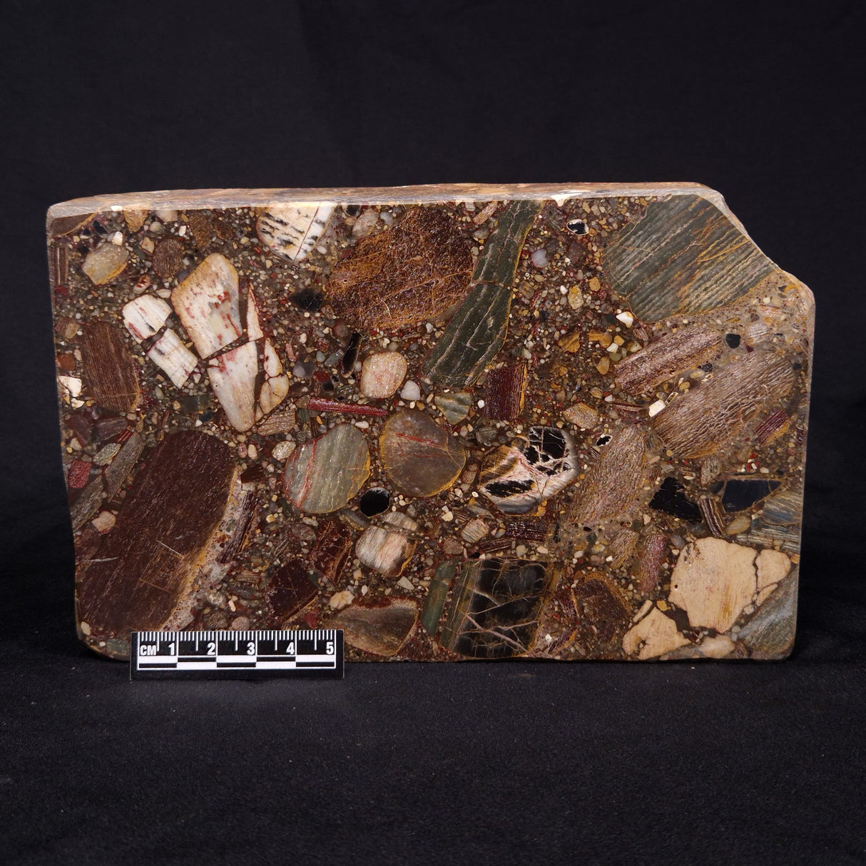 CONGLOMERATE, Australia YSC078