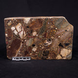CONGLOMERATE, Australia YSC078