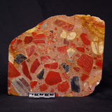 CONGLOMERATE, Australia YSC079