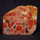 CONGLOMERATE, Australia YSC079