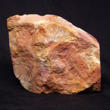 CONGLOMERATE, Australia YSC079