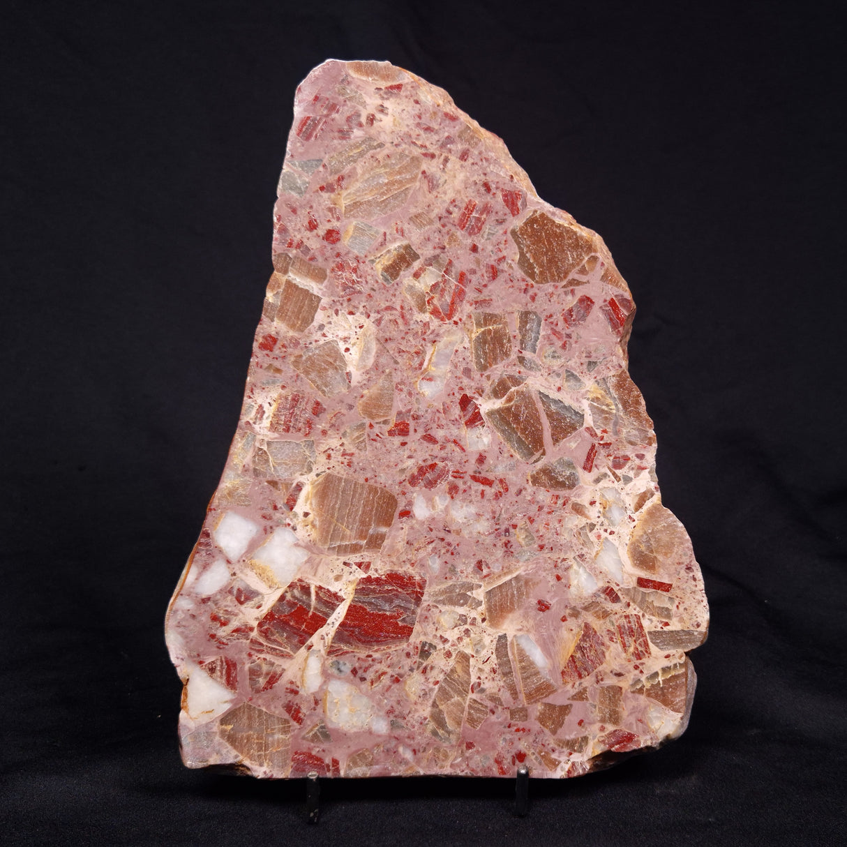 CONGLOMERATE, Australia YSC080