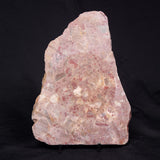 CONGLOMERATE, Australia YSC080