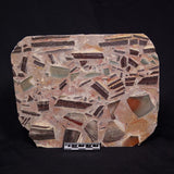 BRECCIA, Australia YSC081